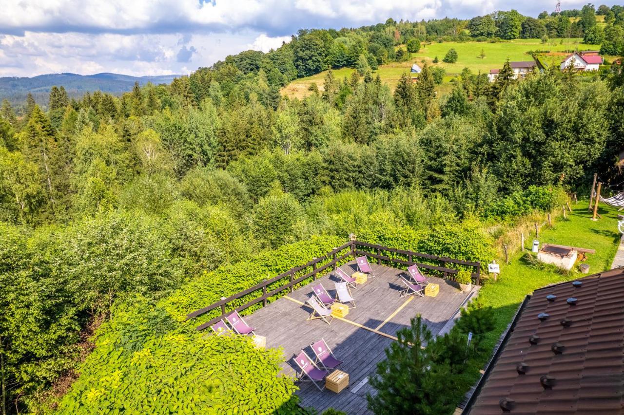 Czarna Owca Bed and breakfast